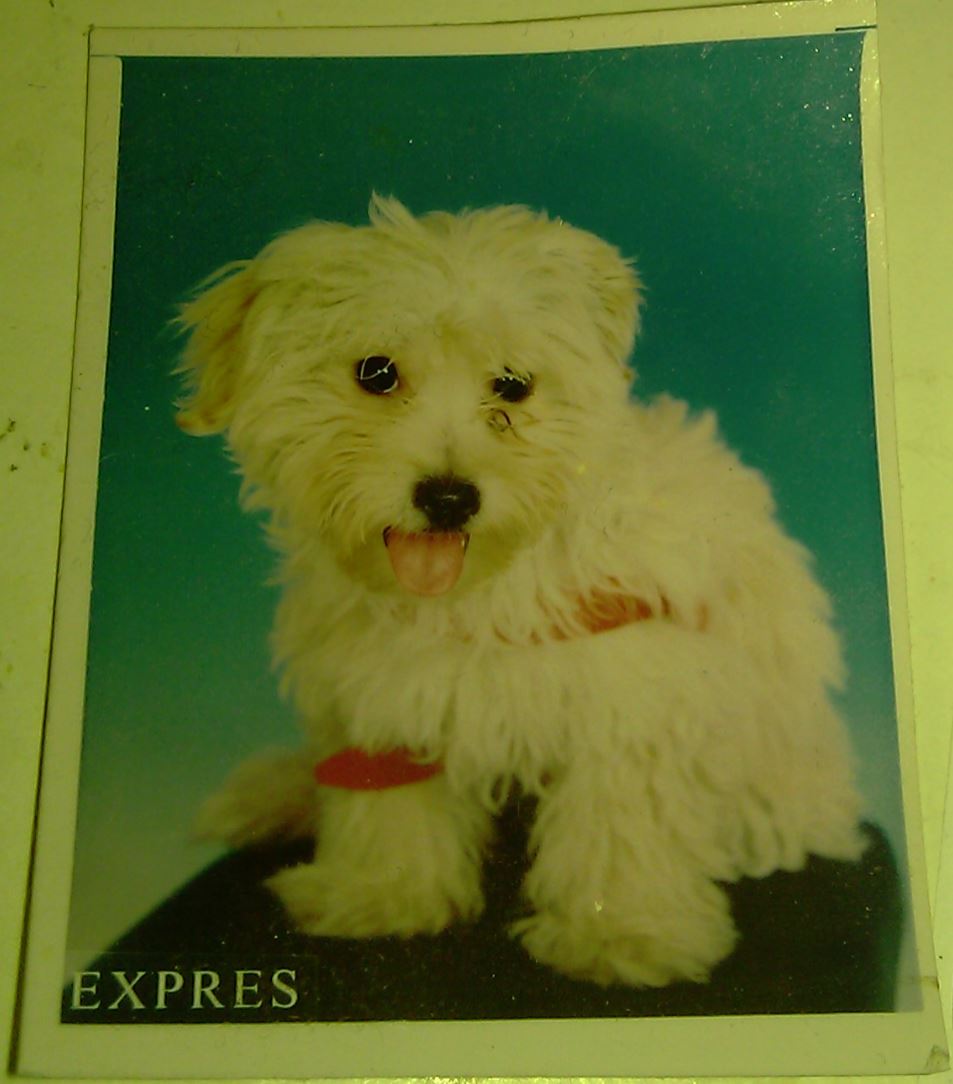 2001-05-01-Citir